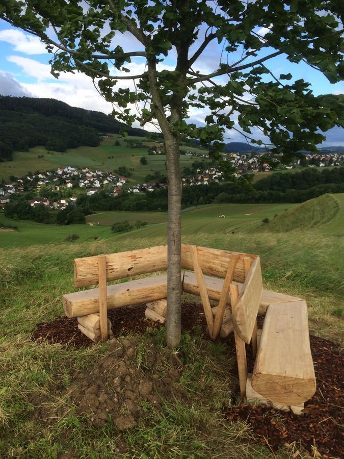Buckten Pension Chesselberg المظهر الخارجي الصورة
