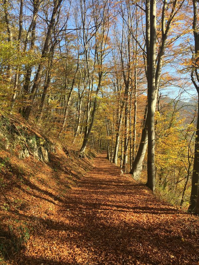 Buckten Pension Chesselberg المظهر الخارجي الصورة